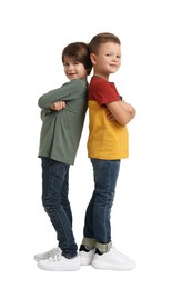 Full length portrait of cute brothers on white background