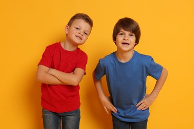 Photo of Portrait of cute brothers on orange background