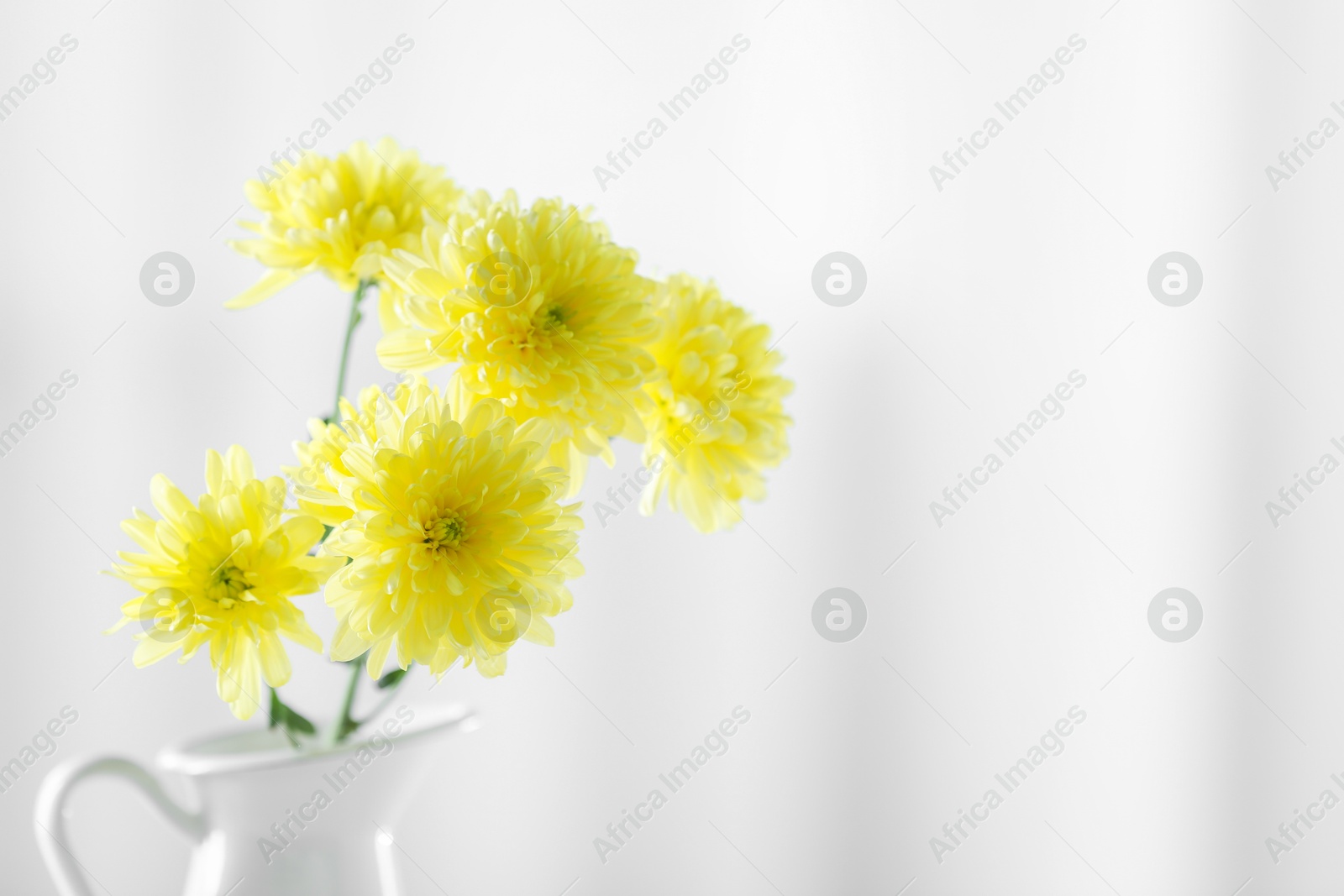 Beautiful yellow flowers in vase against light background, closeup. Space for text Photo of Beautiful yellow flowers in vase against light background, closeup. Space for text