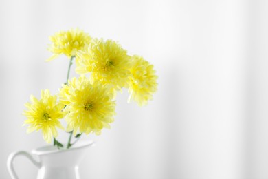 Photo of Beautiful yellow flowers in vase against light background, closeup. Space for text