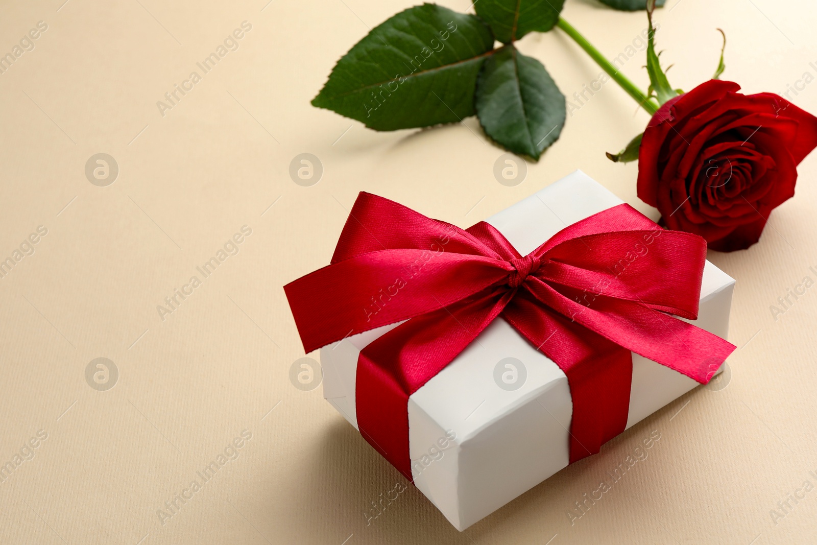 Photo of Beautiful gift box with red bow and rose on beige background, closeup. Space for text