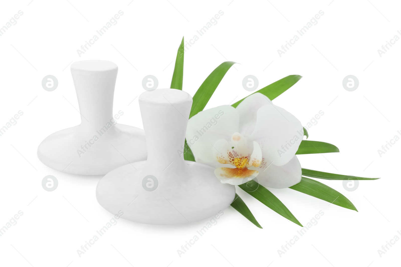 Photo of Spa stones, green palm leaf and orchid flower isolated on white