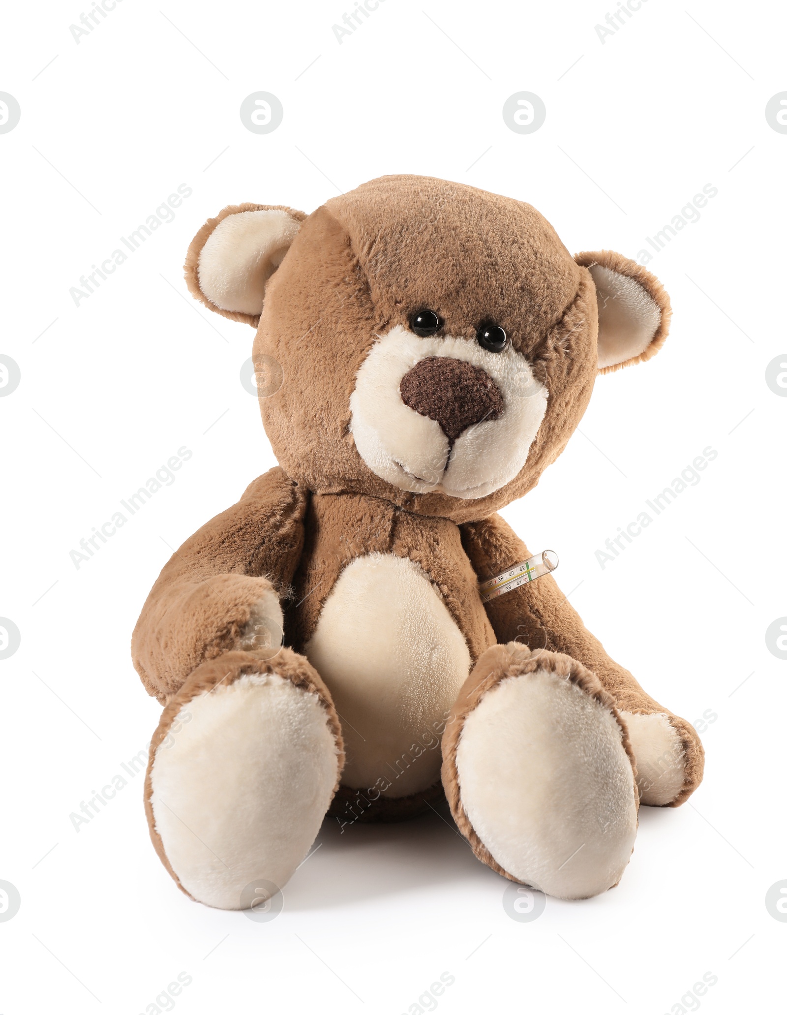 Cute teddy bear with thermometer isolated on white Photo of Cute teddy bear with thermometer isolated on white