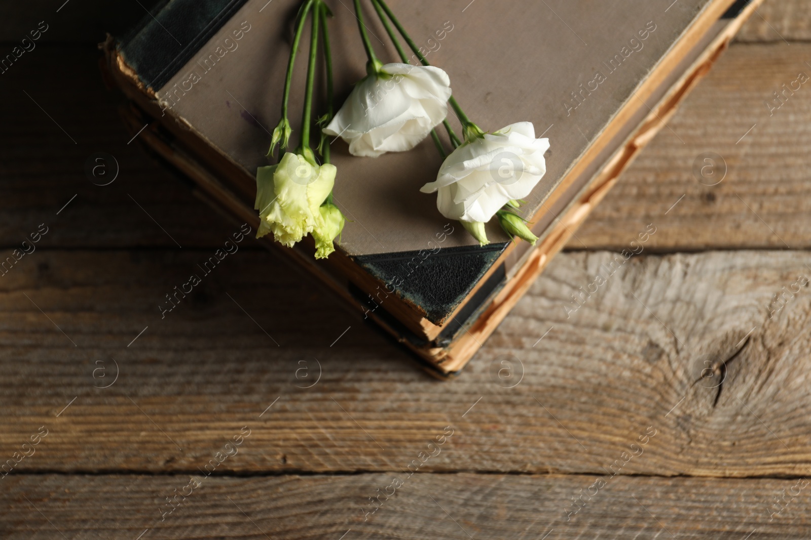 Photo of Books and beautiful flowers on wooden table, top view