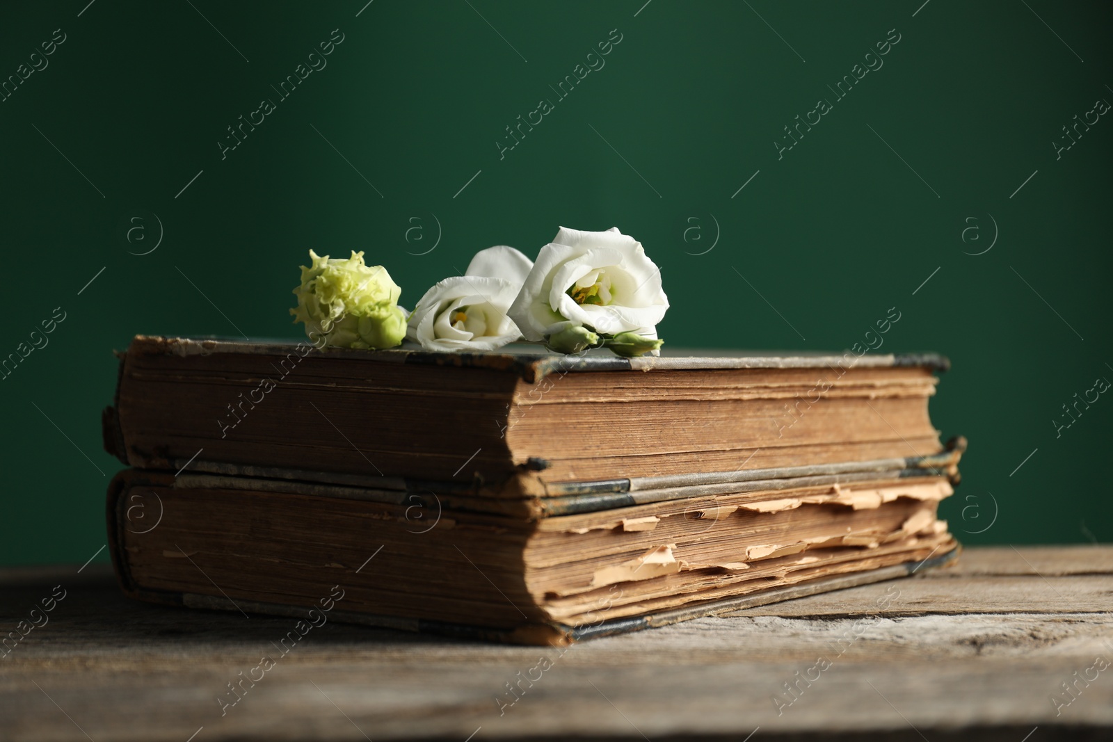 Photo of Books and beautiful flowers on wooden table against green background, closeup