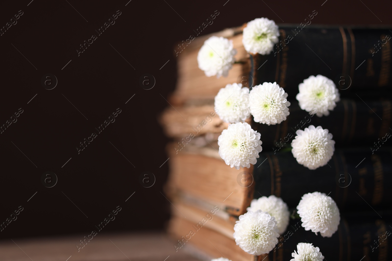 Photo of Stack of books with beautiful flowers on blurred background, closeup. Space for text