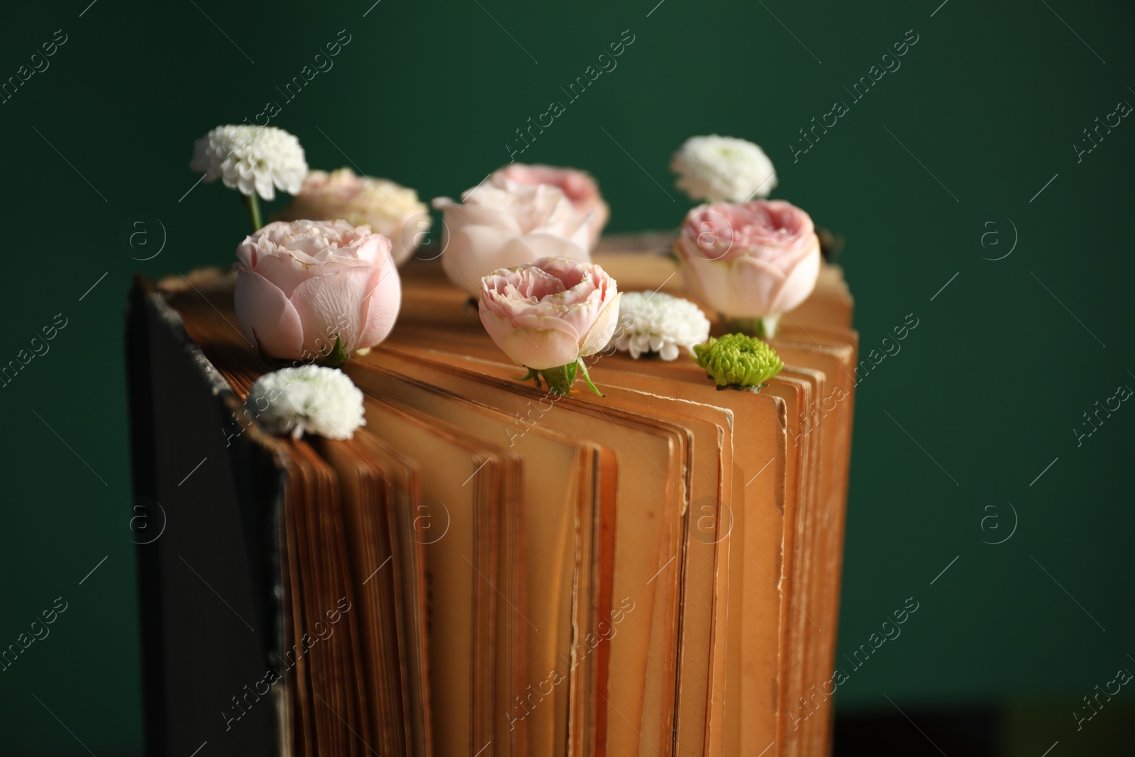 Photo of Book with beautiful flowers against green background, closeup