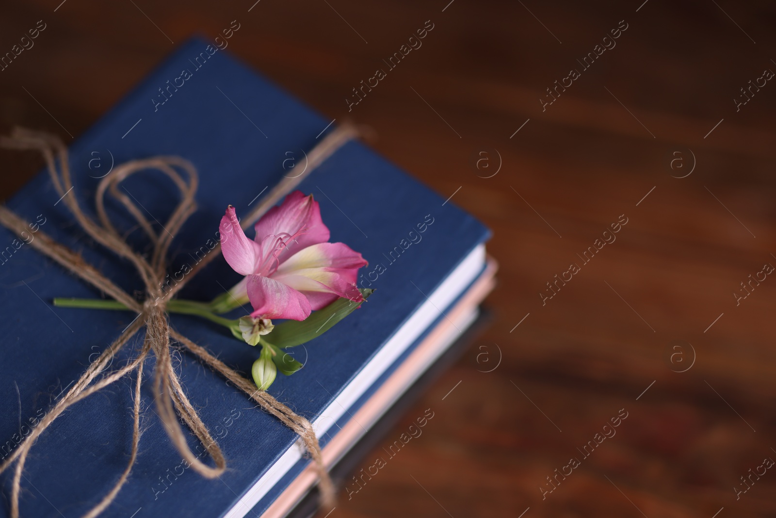 Photo of Books with beautiful flower on table, closeup. Space for text