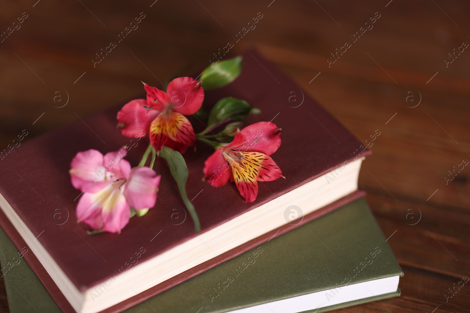 Photo of Books and beautiful flowers on wooden table, closeup