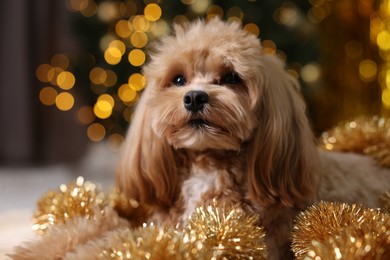 Photo of Cute dog with shiny tinsels against blurred lights, closeup