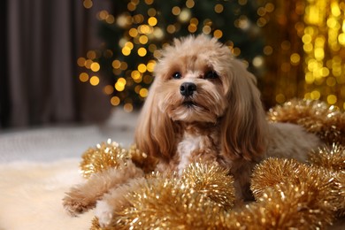 Photo of Cute dog with shiny tinsels on floor against blurred lights. Space for text