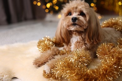 Photo of Cute dog with shiny tinsels on floor against blurred lights. Space for text