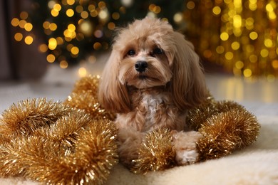 Photo of Cute dog with shiny tinsels on floor against blurred lights