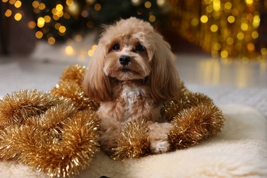 Photo of Cute dog with shiny tinsels on floor against blurred lights