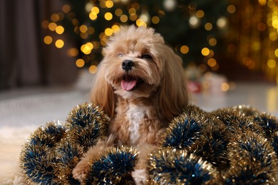 Photo of Cute dog with shiny tinsels on floor against blurred lights