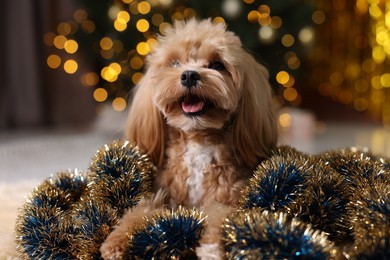 Photo of Cute dog with shiny tinsels on floor against blurred lights