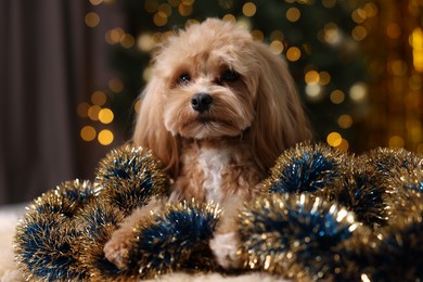 Photo of Cute dog with shiny tinsels on floor against blurred lights