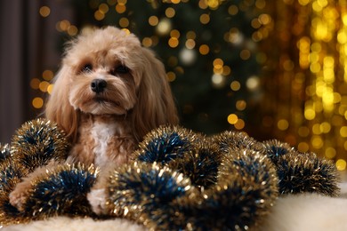 Photo of Cute dog with shiny tinsels on floor against blurred lights