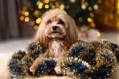 Photo of Cute dog with shiny tinsels on floor against blurred lights