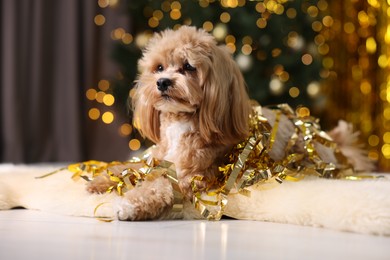 Photo of Cute dog with pile of shiny tinsels on floor against blurred lights