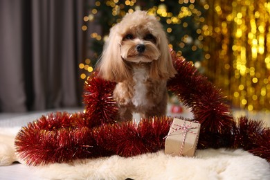 Photo of Cute dog with shiny tinsel and gift box on floor against blurred lights