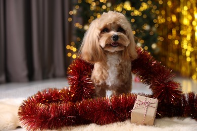 Photo of Cute dog with shiny tinsel and gift box on floor against blurred lights