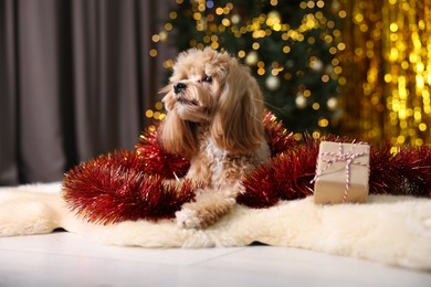 Photo of Cute dog with shiny tinsel and gift box on floor against blurred lights