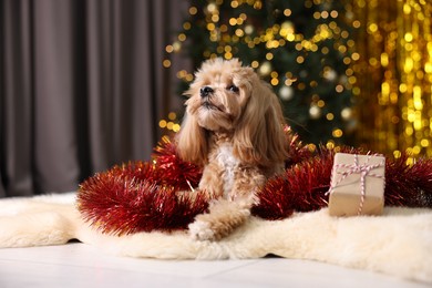 Photo of Cute dog with shiny tinsel and gift box on floor against blurred lights