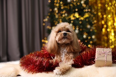 Photo of Cute dog with shiny tinsel and gift box on floor against blurred lights