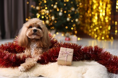 Photo of Cute dog with shiny tinsel and gift box on floor against blurred lights