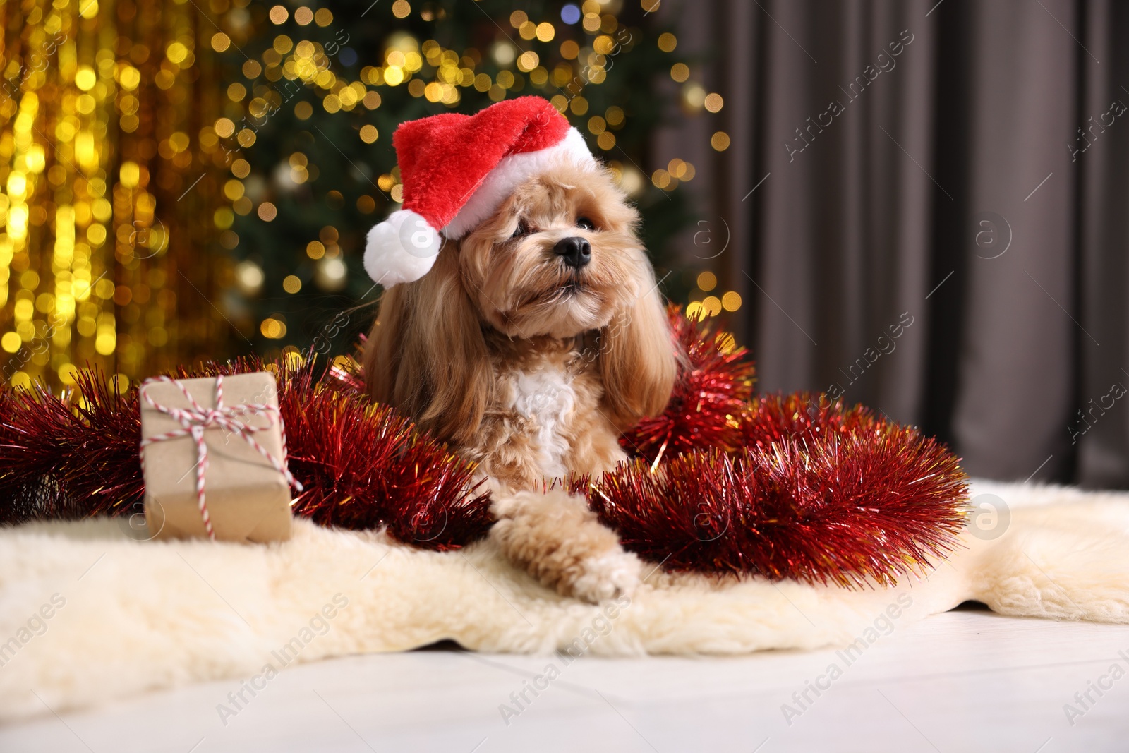 Photo of Cute dog in Santa hat with shiny tinsel and gift box on floor against blurred lights