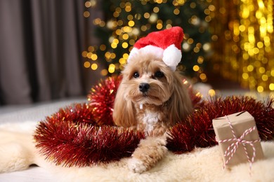 Photo of Cute dog in Santa hat with shiny tinsel and gift box on floor against blurred lights