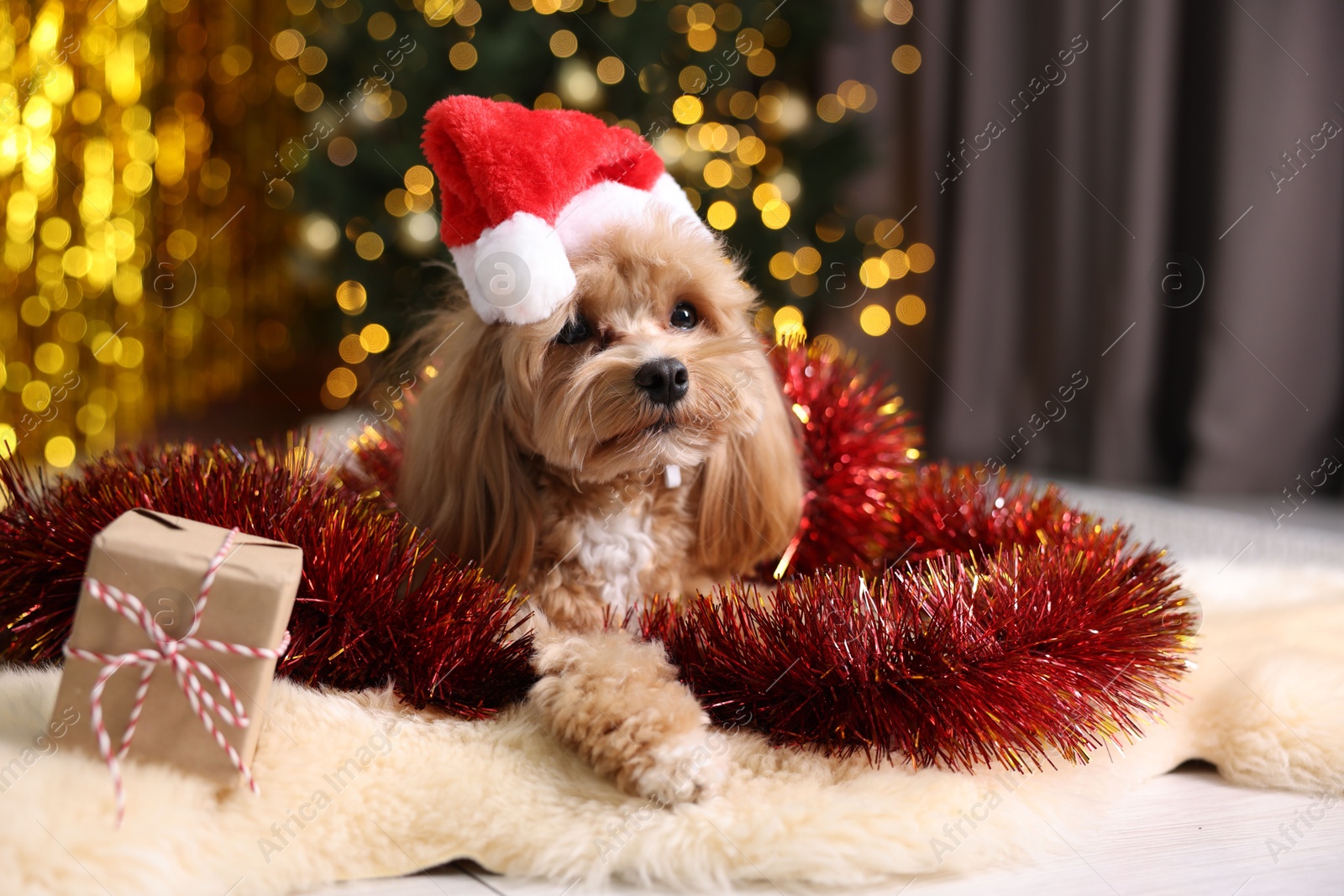 Photo of Cute dog in Santa hat with shiny tinsel and gift box on floor against blurred lights