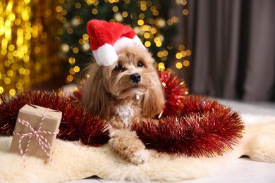 Photo of Cute dog in Santa hat with shiny tinsel and gift box on floor against blurred lights