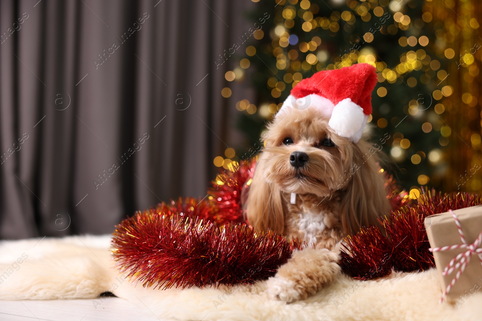 Photo of Cute dog in Santa hat with shiny tinsel and gift box on floor against blurred lights