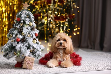 Photo of Cute dog with shiny tinsel lying near Christmas tree and gift box on floor against blurred lights