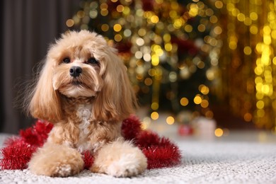 Photo of Cute dog with shiny tinsel on floor against blurred lights. Space for text