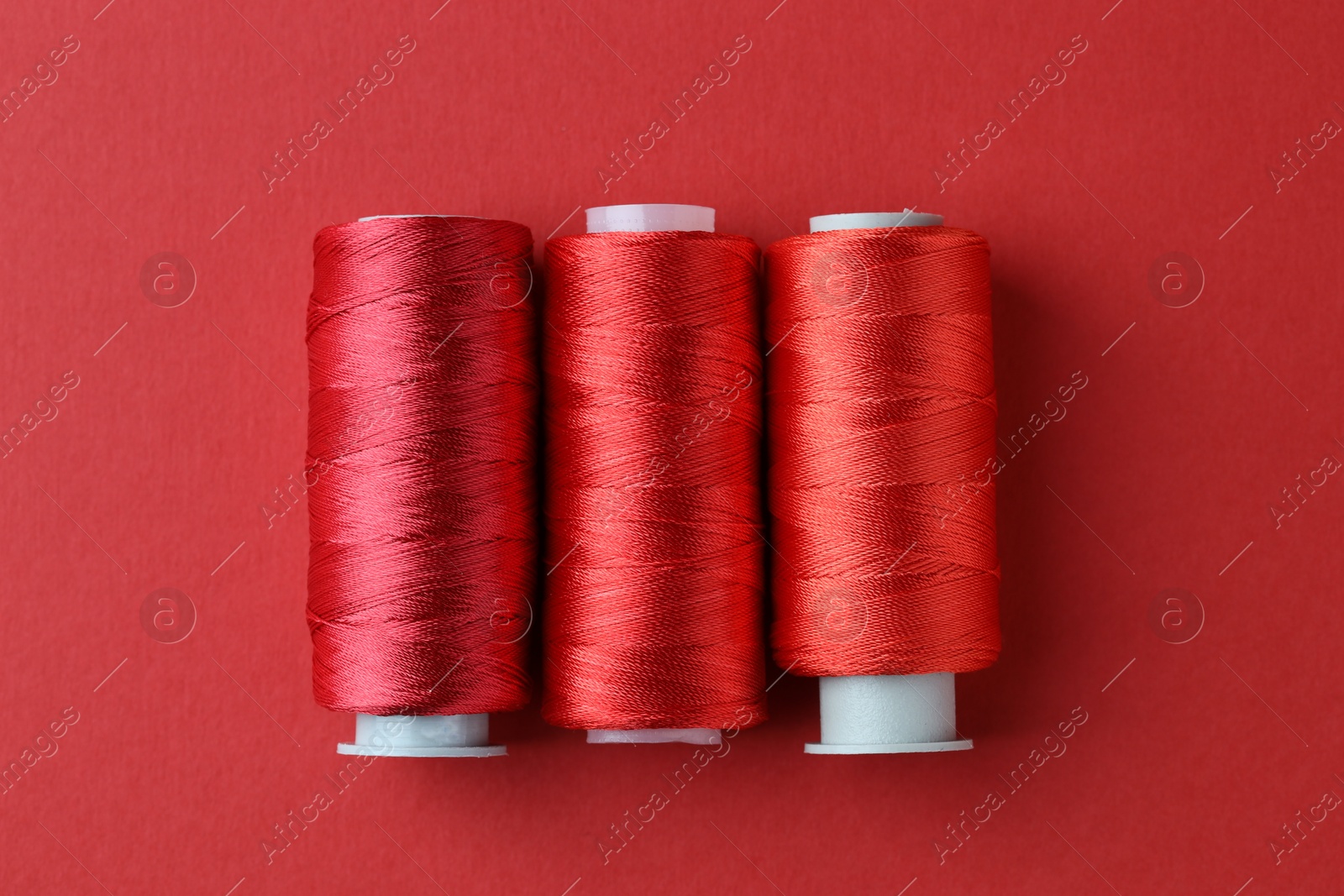 Photo of Spools of colorful sewing threads on red background, flat lay