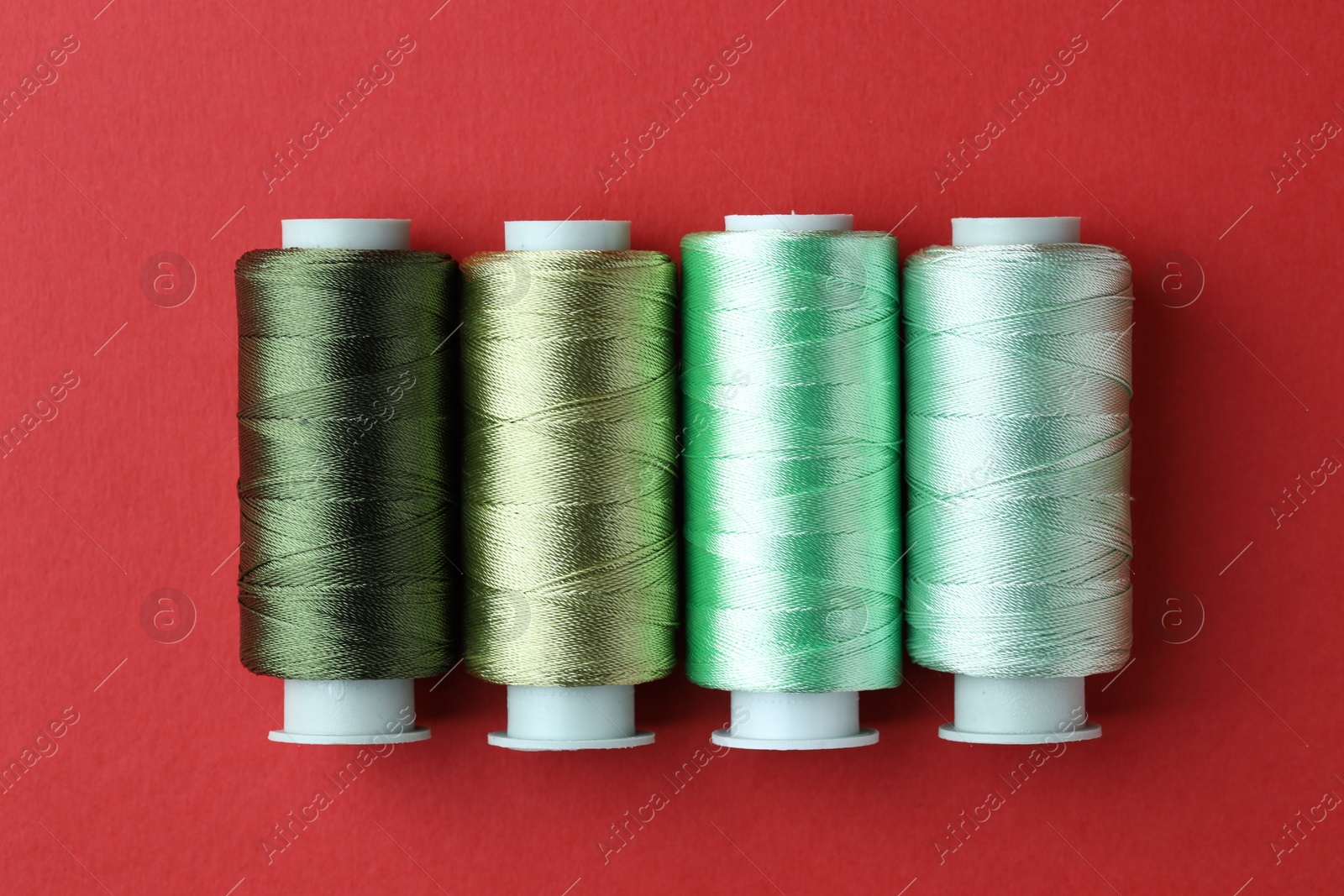 Photo of Spools of colorful sewing threads on red background, flat lay