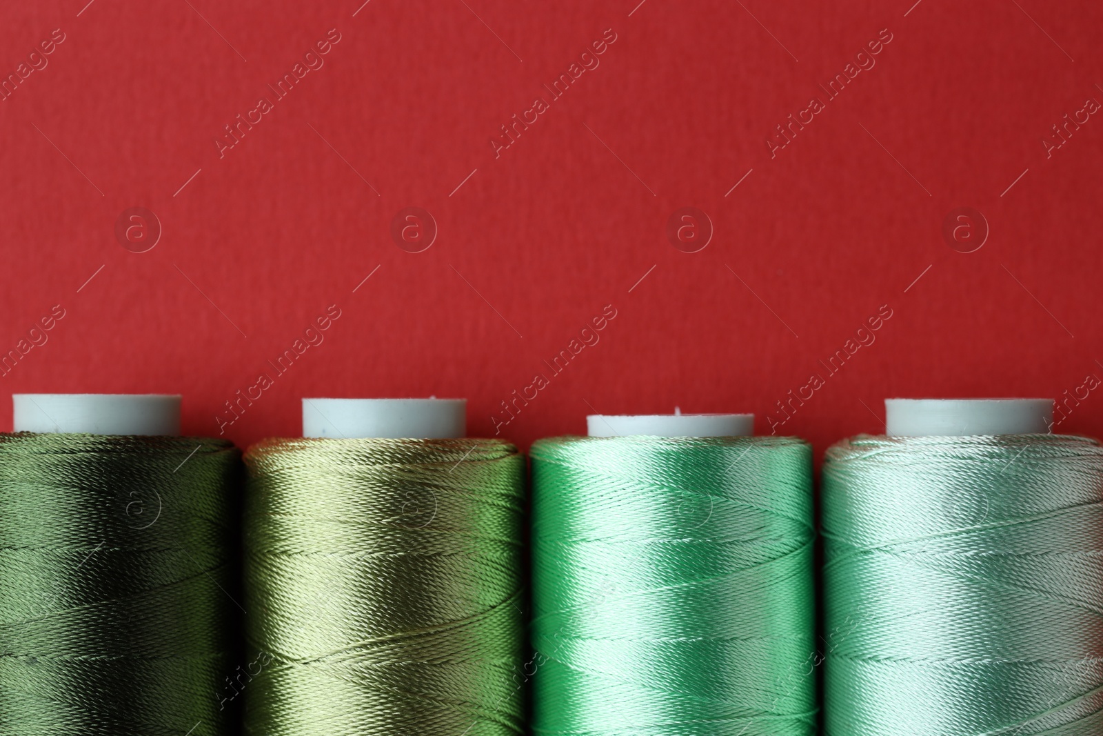 Photo of Spools of colorful sewing threads on red background, flat lay. Space for text copy