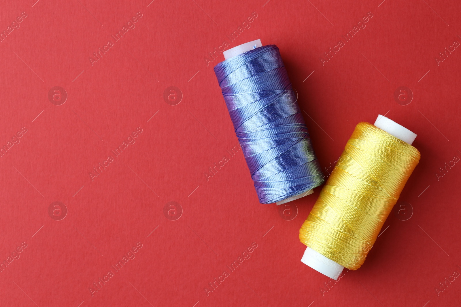 Photo of Spools of colorful sewing threads on red background, flat lay. Space for text