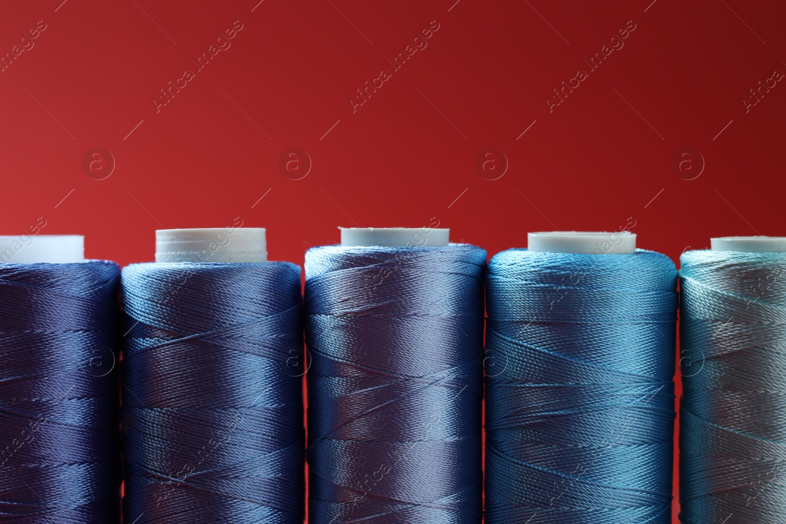 Photo of Spools of colorful sewing threads on red background, closeup