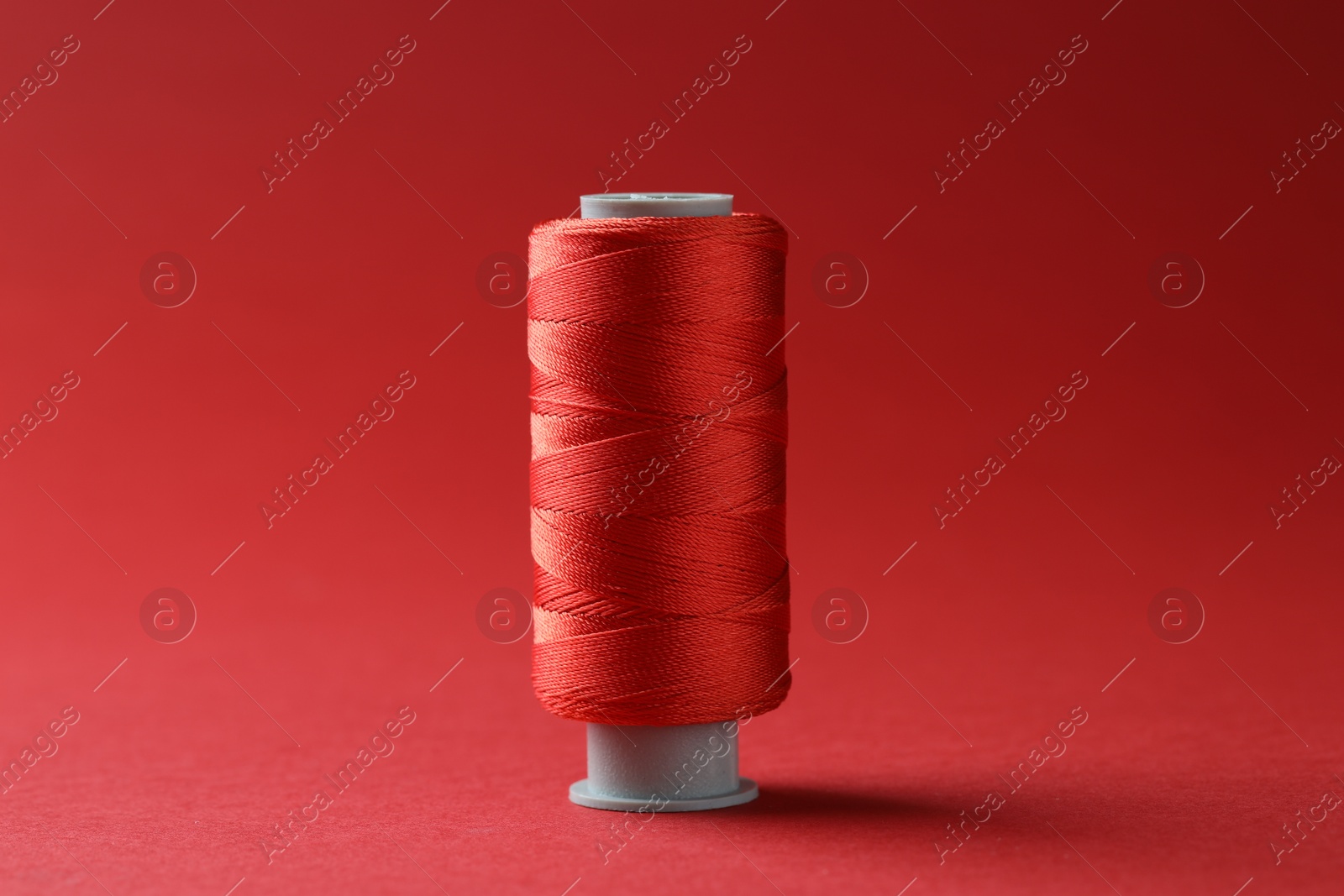 Photo of Spool of colorful sewing thread on red background