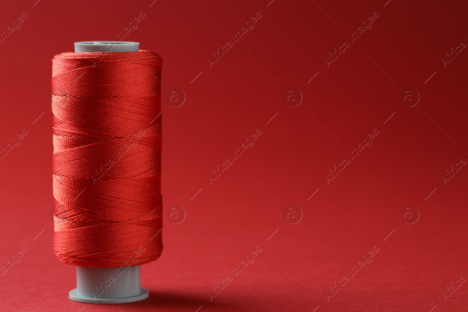 Photo of Spool of colorful sewing thread on red background, space for text