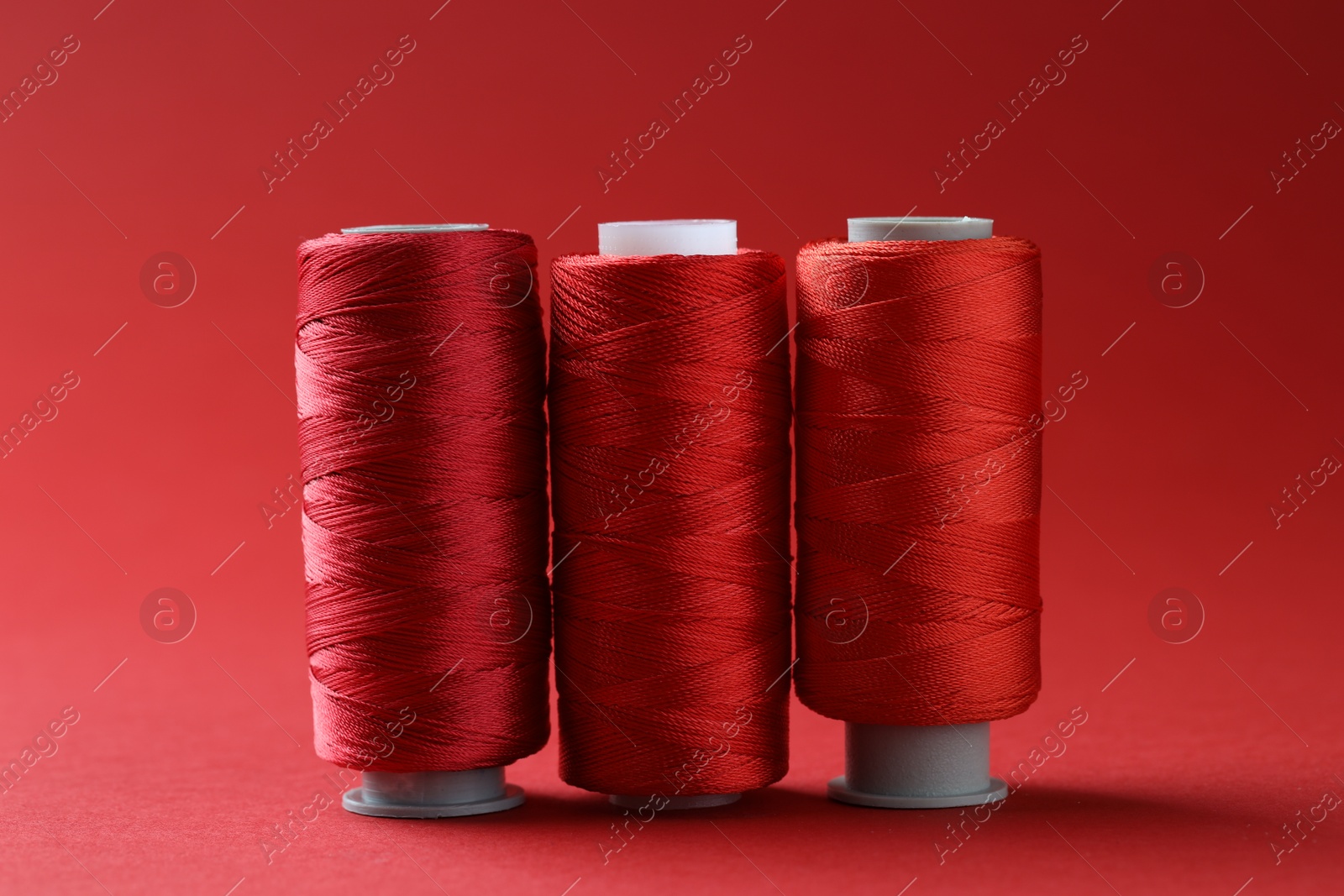 Photo of Spools of bright sewing threads on red background