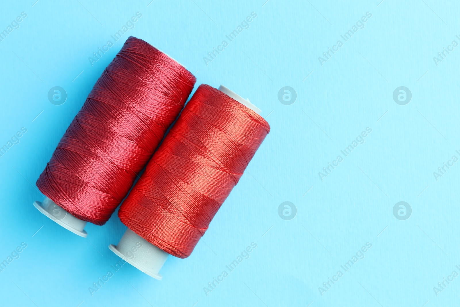 Photo of Spools of red sewing threads on light blue background, top view. Space for text