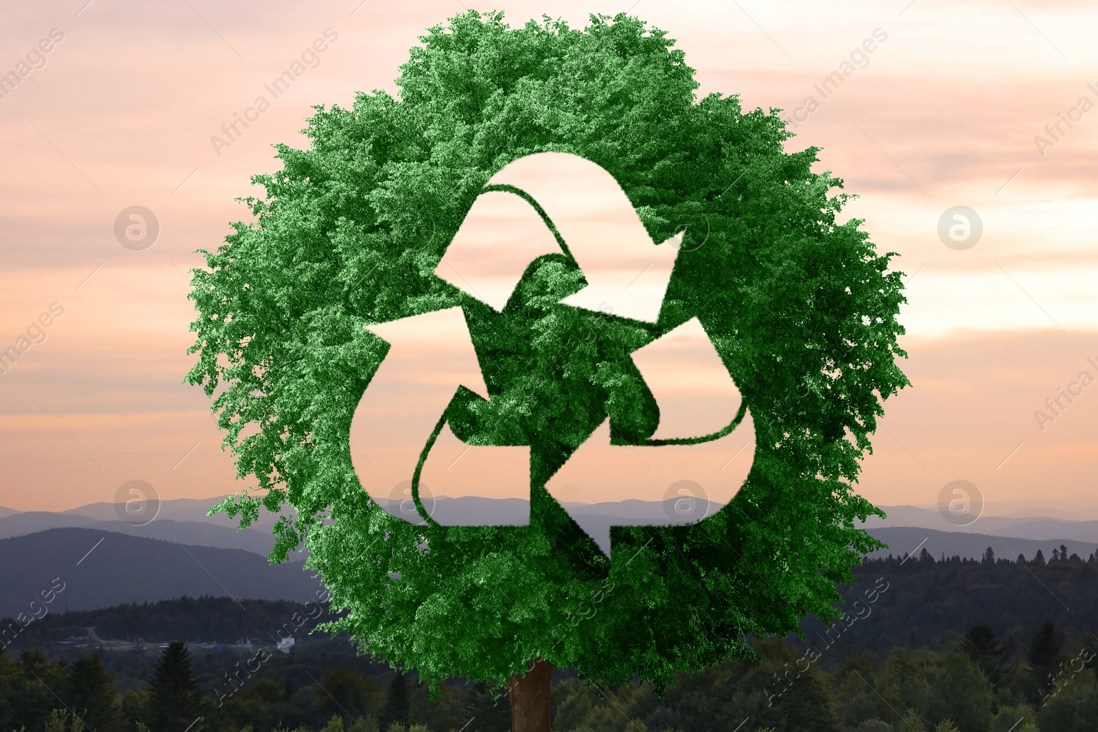 Image of Save Earth. Lush green tree with recycling symbol against sunset sky