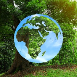 Image of Save Earth. Globe with continents outlines and green tree in park, double exposure