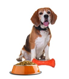 Image of Cute dog sitting near toy and bowl of dry pet food on white background