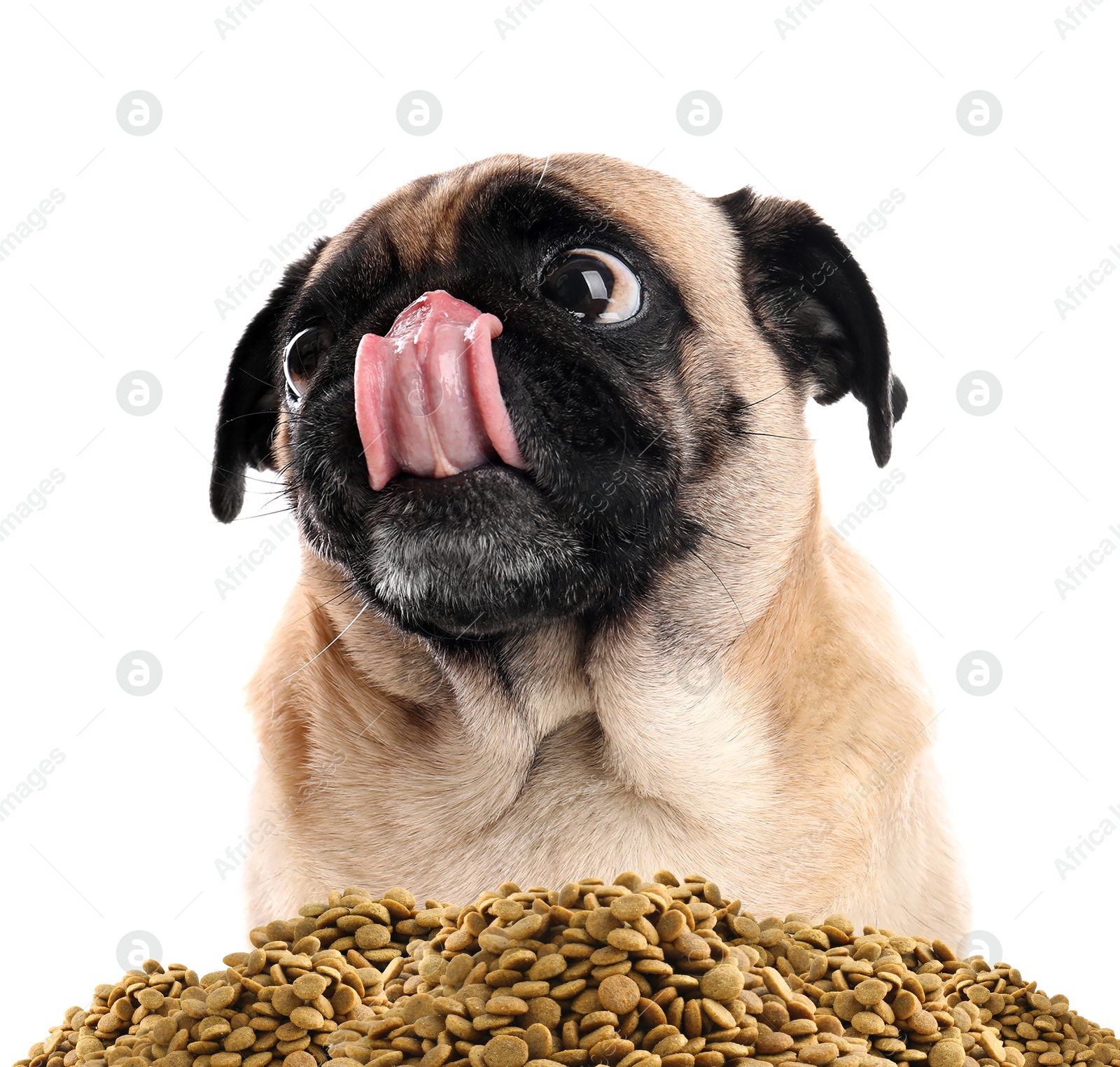 Image of Cute dog and heap of dry pet food on white background